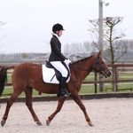 FNRS proevendag - maart 2017 