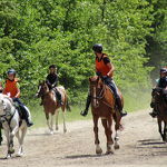 Ponyweekend 2017 