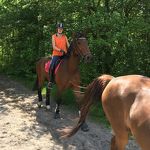 Ponyweekend 2017 