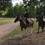 Ponyweekend 2017 