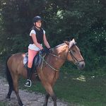 Ponyweekend 2017 