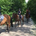 Ponyweekend 2017 