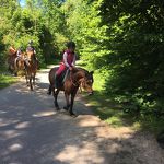 Ponyweekend 2017 