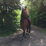 Ponyweekend 2017 