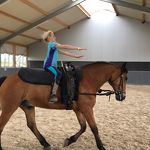 Ponyweekend 2017 