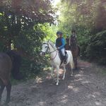 Ponyweekend 2017 