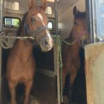 Ponyweekend 2017 