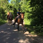 Ponyweekend 2017 