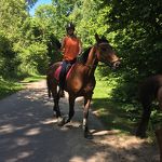 Ponyweekend 2017 