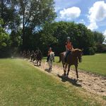 Ponyweekend 2017 