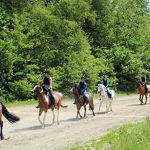 Ponyweekend 2017 
