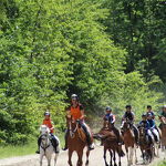 Ponyweekend 2017 