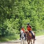 Ponyweekend 2017 